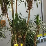 Trieste 3* セニガッリア