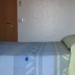 ホテル Trieste 3*